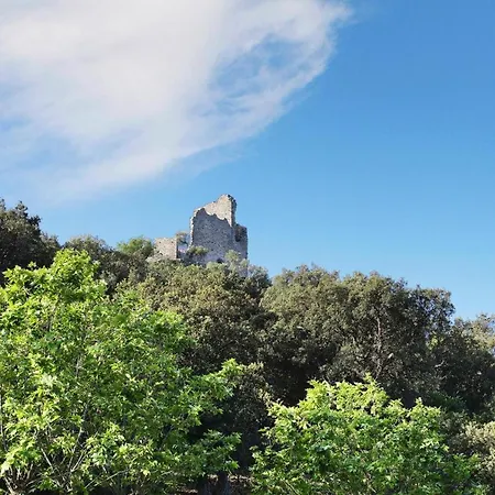 شقة Residence Prestige La Palmeraie Grimaud - Caz01455-Sya غريمو